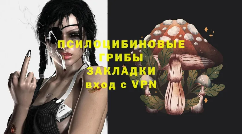 OMG зеркало  сколько стоит  Белоозёрский  Галлюциногенные грибы Magic Shrooms 